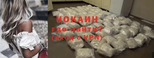 стаф Новозыбков