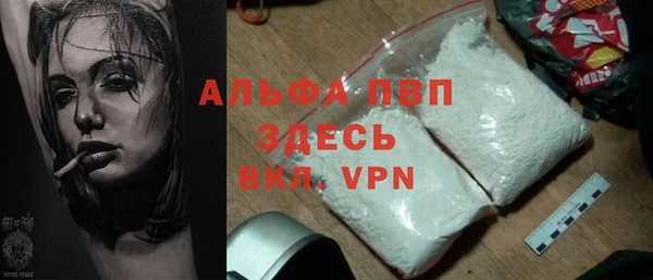 стаф Новозыбков
