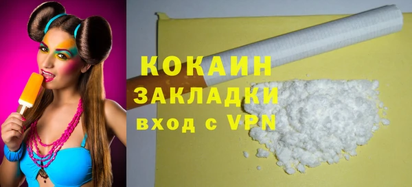 стаф Новозыбков