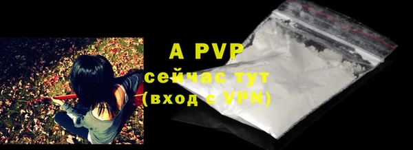 стаф Новозыбков