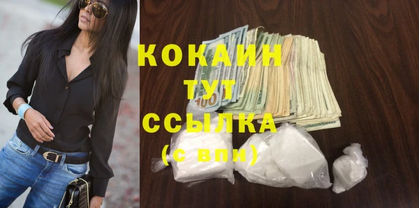стаф Новозыбков
