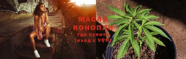 стаф Новозыбков